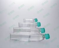 Cell culture flask