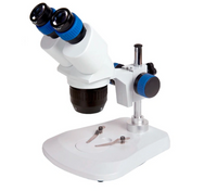 stereomicroscope