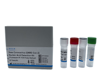 Covid 19 RT-PCR detection kit
