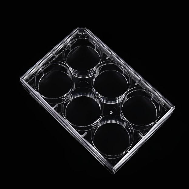 Plaque de culture cellulaire en polystyrène